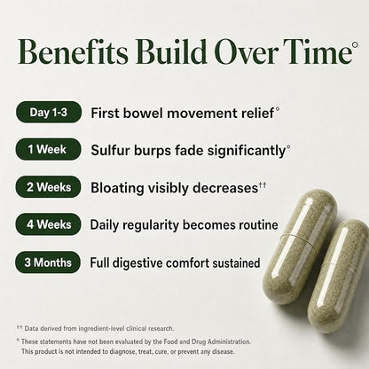 Support Supplement Clinical Support Formula