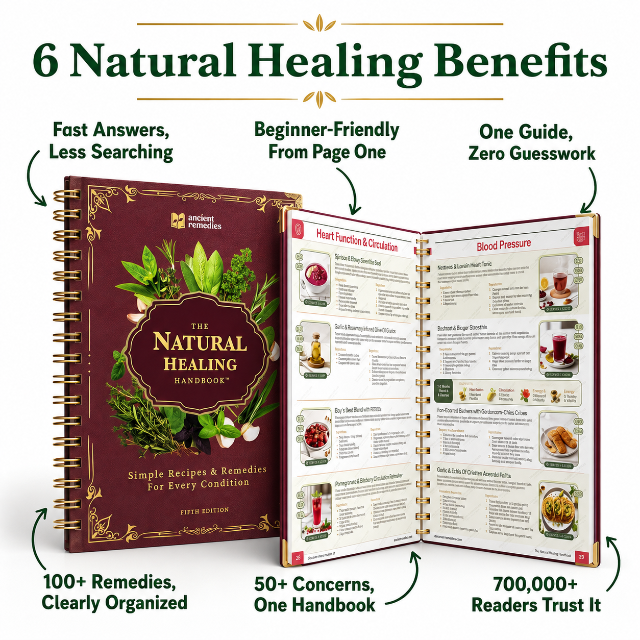 The Natural Healing Handbook
